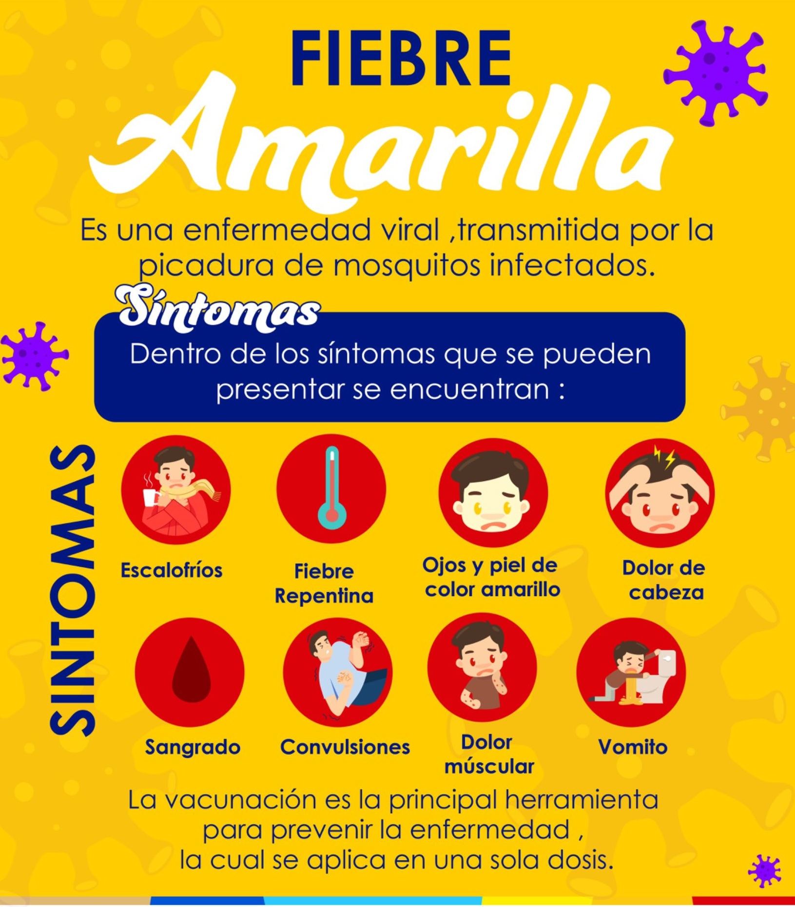 SINTOMAS